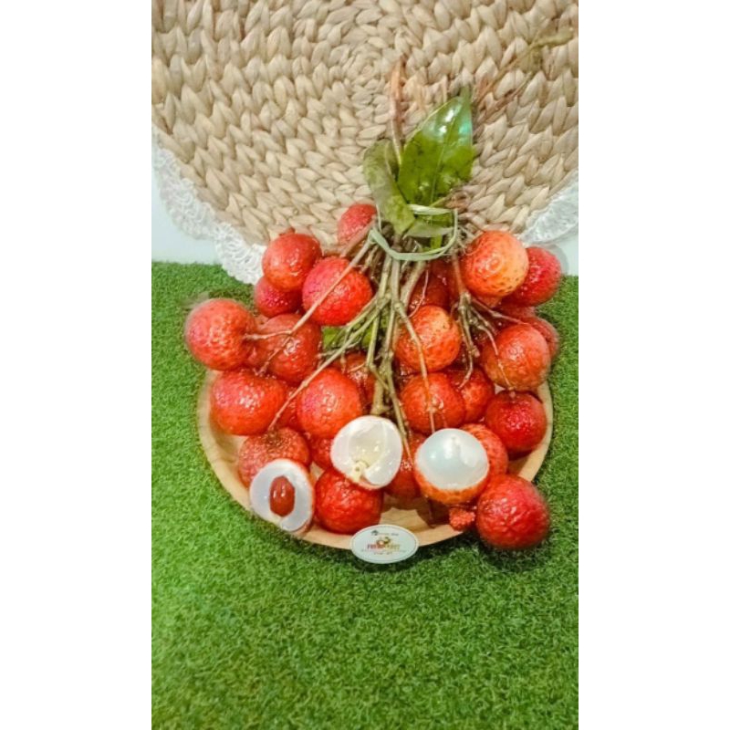 

Leci madu Khusus Pengiriman Instant Jogja