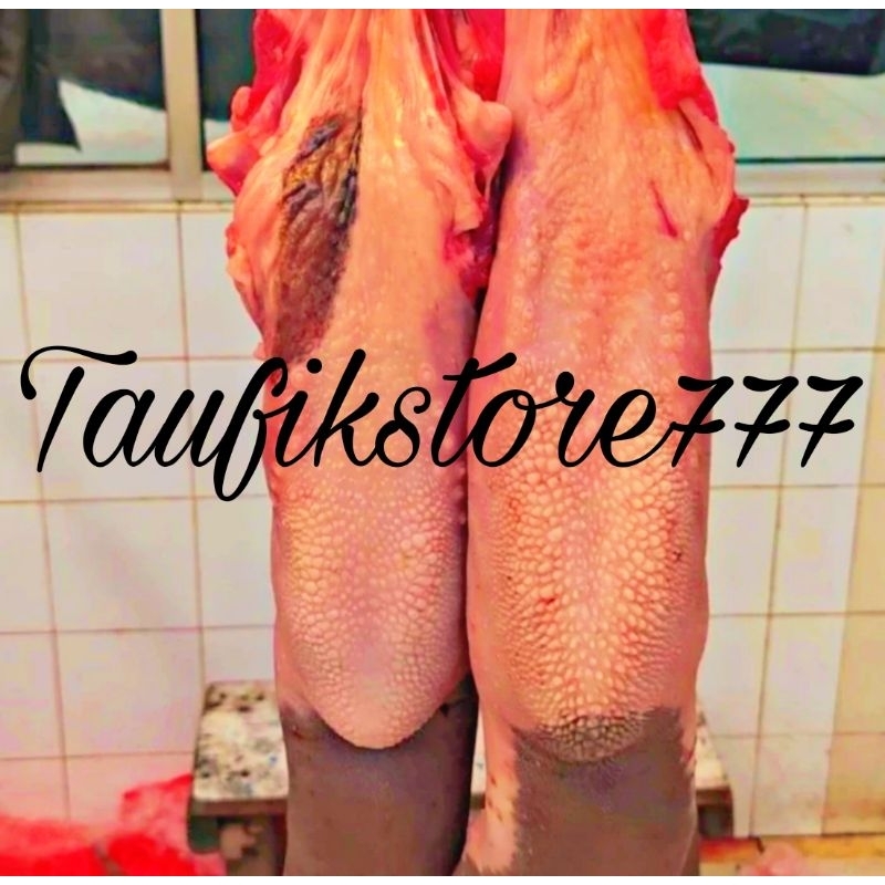 

Lidah Sapi Segar Fresh