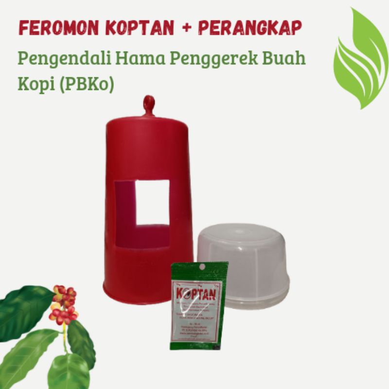 Perangkap PBKo Pengendali Hama Penggerek Buah Kopi Koptan
