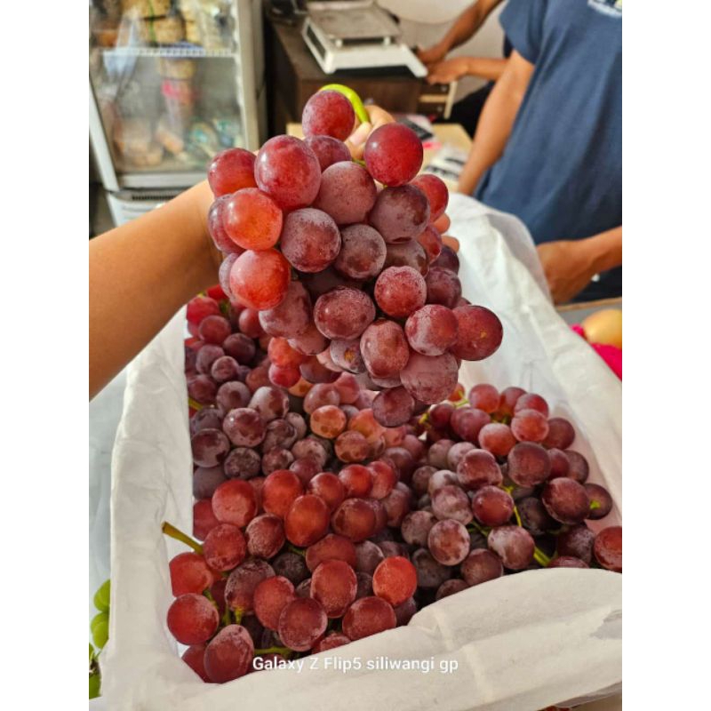 

anggur redglobe 1kg