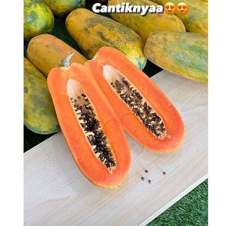 

JURAGAN BUAH PEPAYA CALIFORNIA Berat 1.2-1.5 kg (1 BUAH)