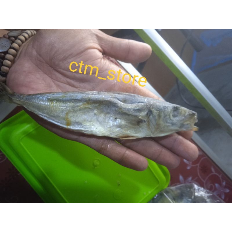

ikan asin bolocot 500g