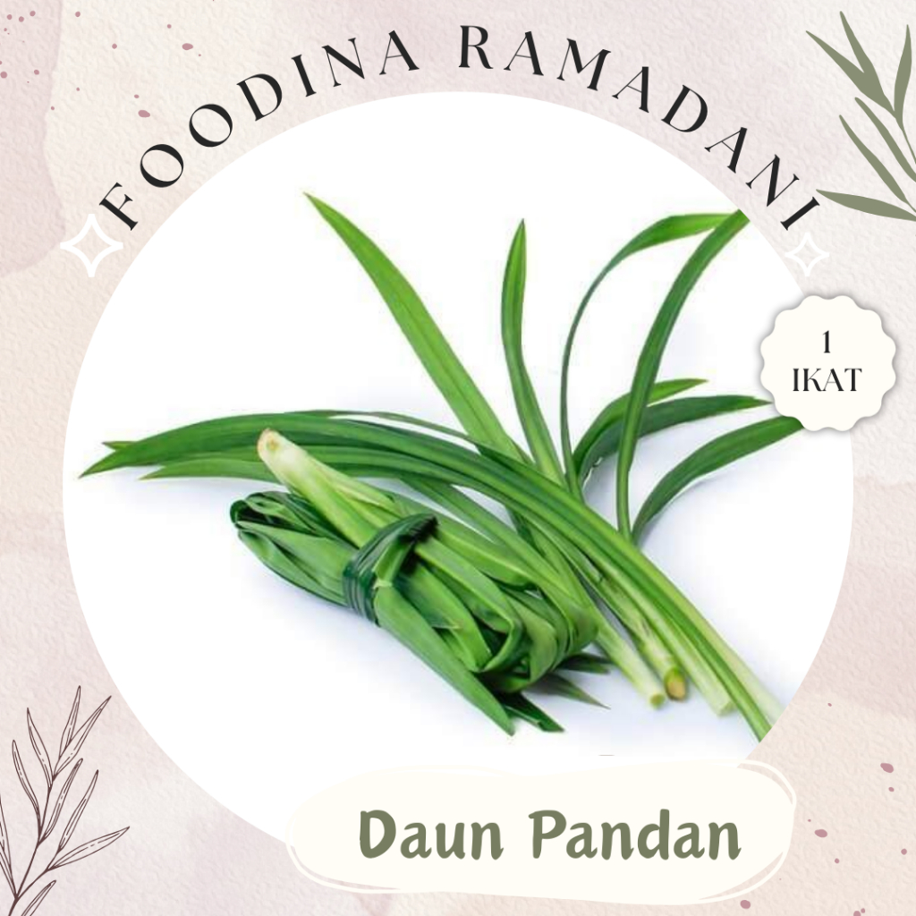 

DAUN PANDAN Wangi - Pandan Leaf Fresh [ Ikatan Size S ] Harga Per IKAT