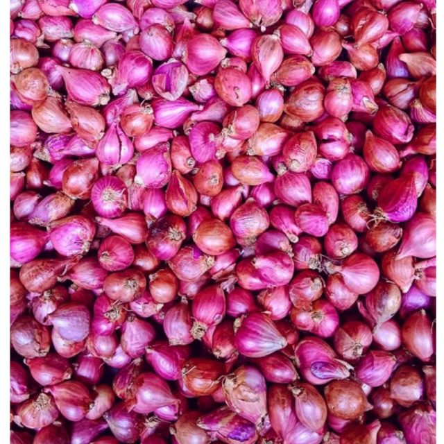 

Bawang Merah Brebes Asli Besar Sedang Campur 250gr