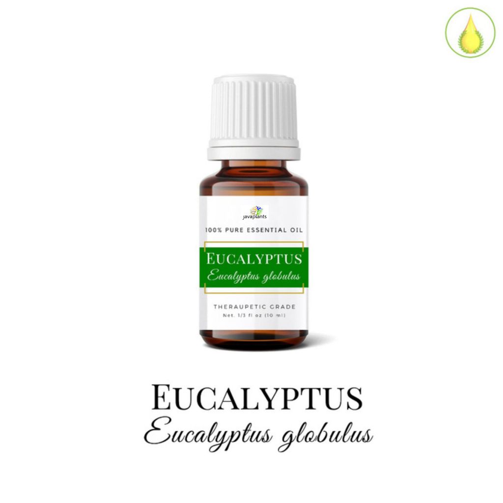 Eucalyptus Essential Oil 30 ml Minyak Atsiri Eukaliptus Murni Organik AUSTRALIA