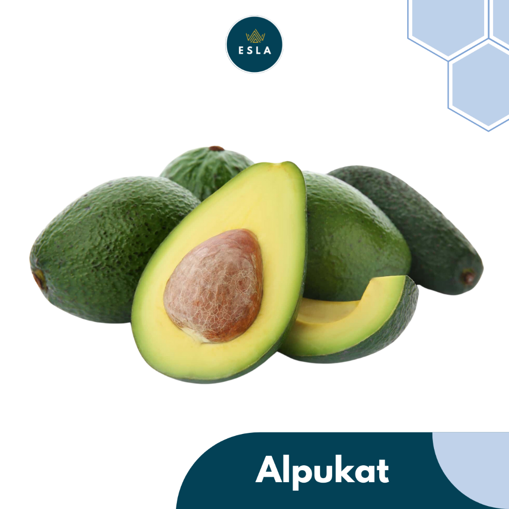 

ALPUKAT I Buah Fresh dan Premium - ESLA