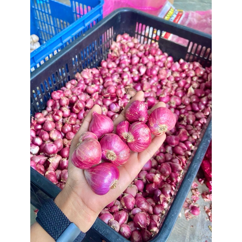 

(1 KG) BRAMBANG SUPER BAWANG MERAH SUPER SIZE BESAR