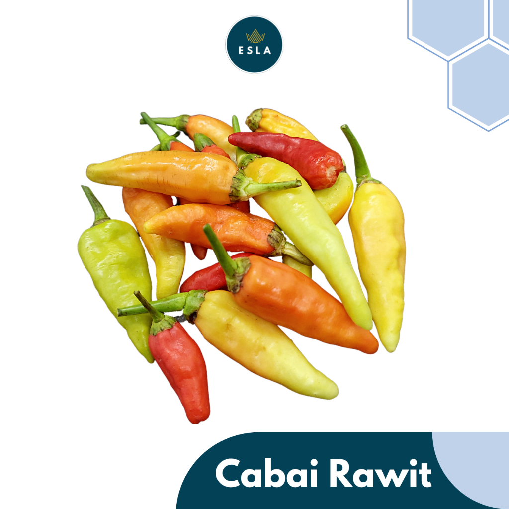 

CABAI RAWIT I Fresh dan Premium - ESLA