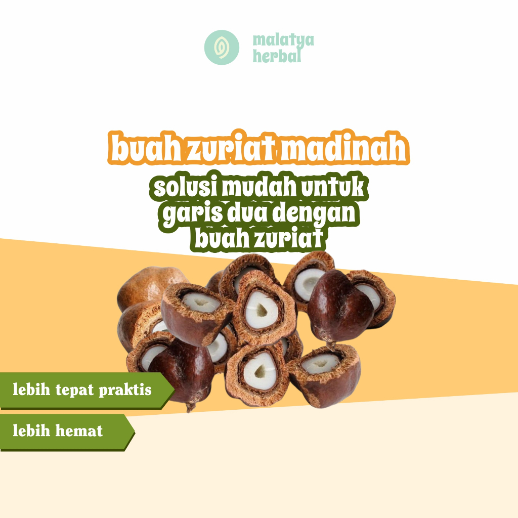 

Buah Zuriat Promil Asli Premium Grade A Zuriat Madinah Kembar Original Juriat Zuriyat Suami Istri Zuriat Makkah