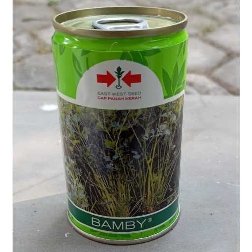 Benih Seledri Bamby 50 gr