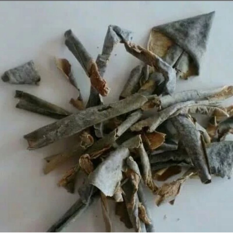 

10 G 50 GR 100 GRAM 冬瓜皮 DONG GUA PI WAXGOURD PEEL EXOCARPIUM BENINCASAE