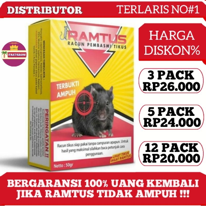 Racun tikus ramtus ampuh mati kering tidak berbau tikus mati secara massal