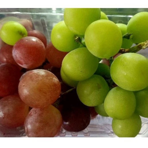 

Anggur Mix 500gram