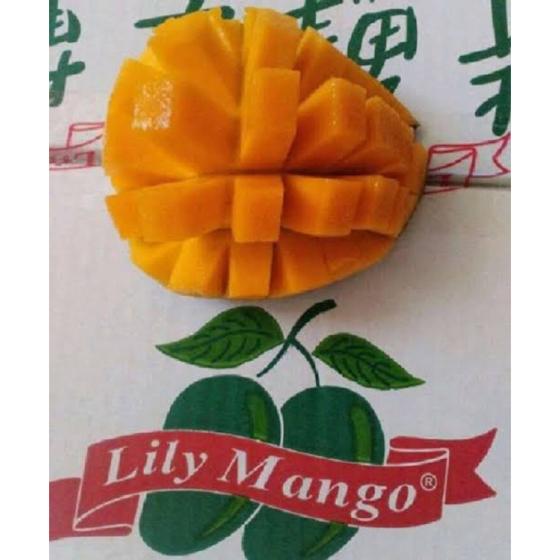 

mangga Lily original