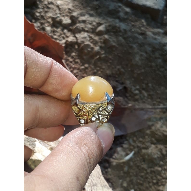 batu cincin akik mg mani gajah asli dim 23x16x13 est