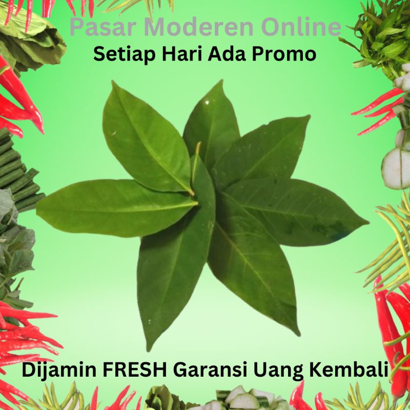 

DAUN SALAM BUMBU DAPUR REMPAH SEGAR PER-IKAT