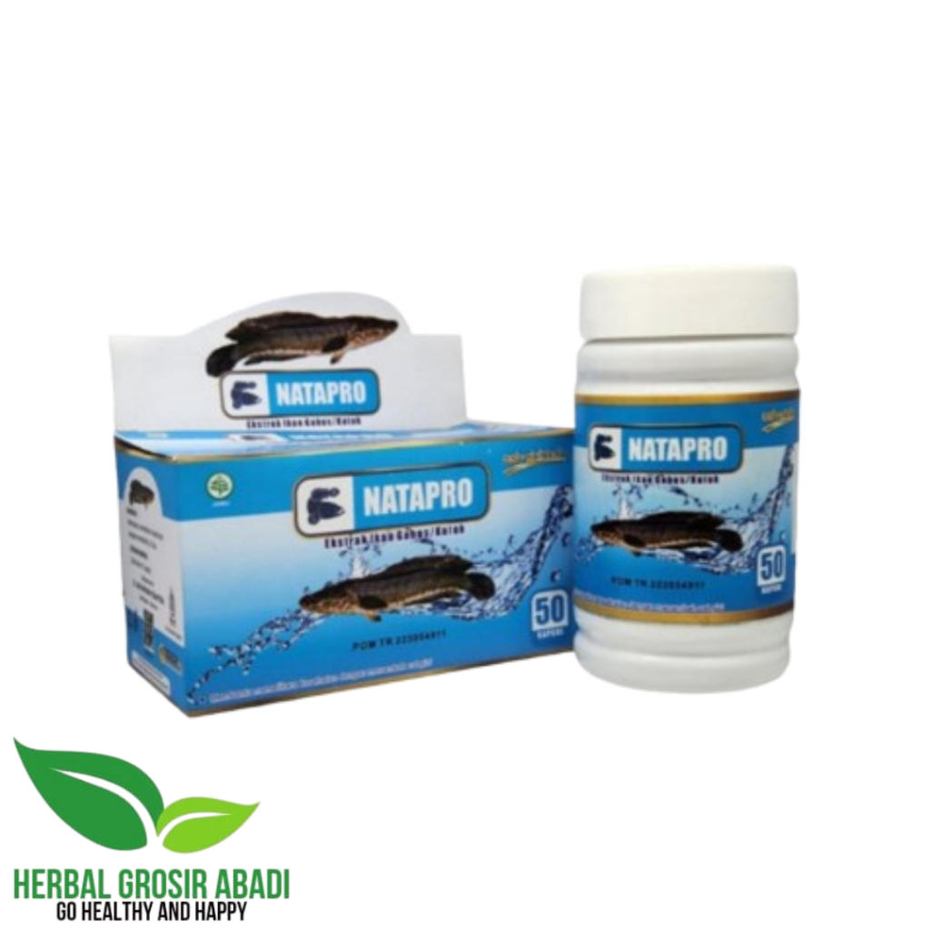 Pro Albumin Kapsul Ikan Gabus | Ekstrak Ikan Kutuk | Natapro | Pro Albumin | SAH Albumin | Azzyan Al
