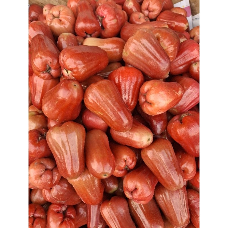 

Jambu Kristal Manis 1 Kg