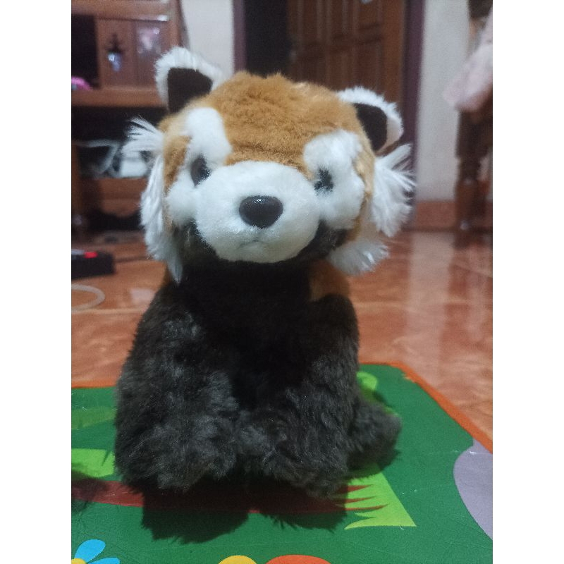 Rakun Everland