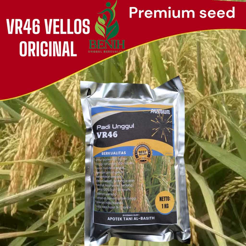 Benih Padi bibit Padi VR46 Vellos 1kg original