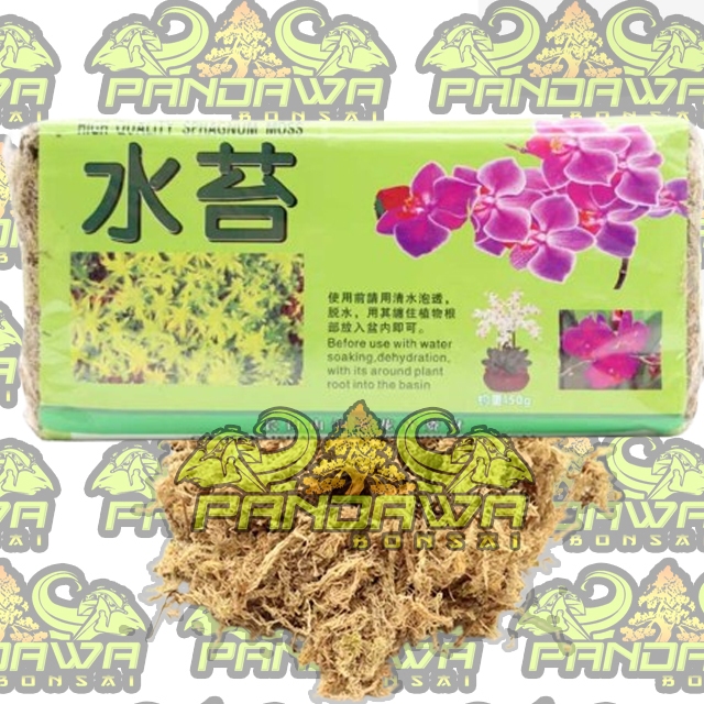 PANDAWA BONSAI-JAPAN SOIL,SPHAGNUM MOSS HIGH QUALITY IMPORT