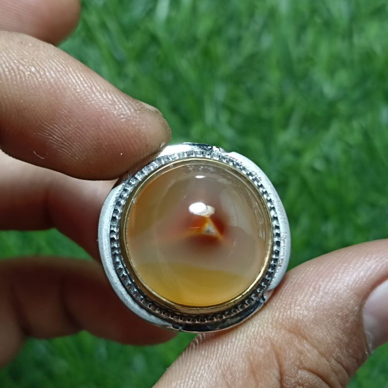COMBONG MERAH SEGITIGA