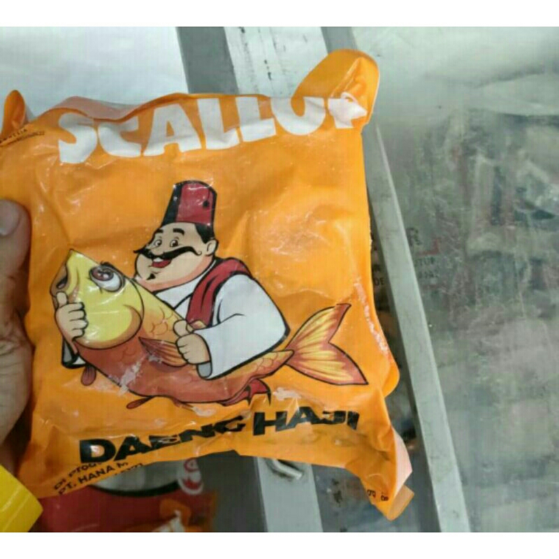 

Daeng Haji Scallop Termurah