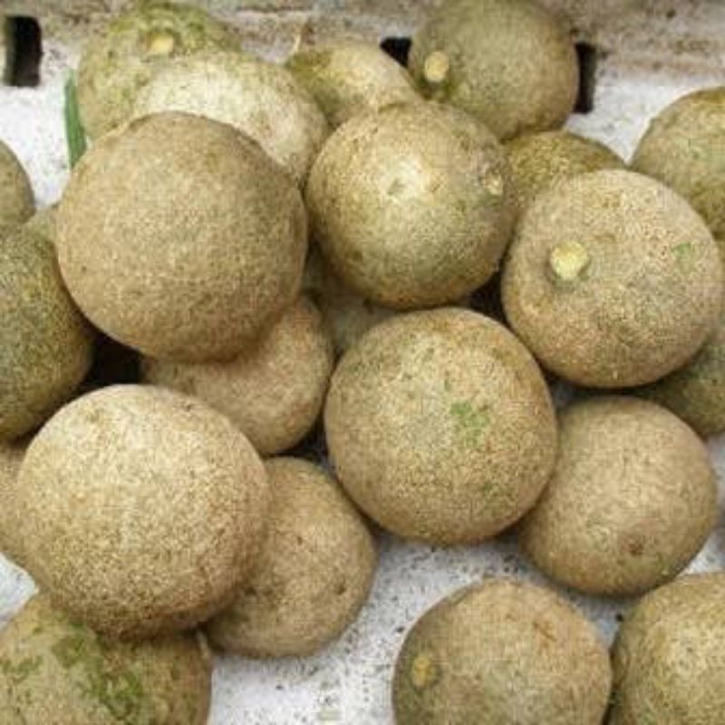 

BUAH KAWIS KAWISTA KISTO BISTAH MENTAH