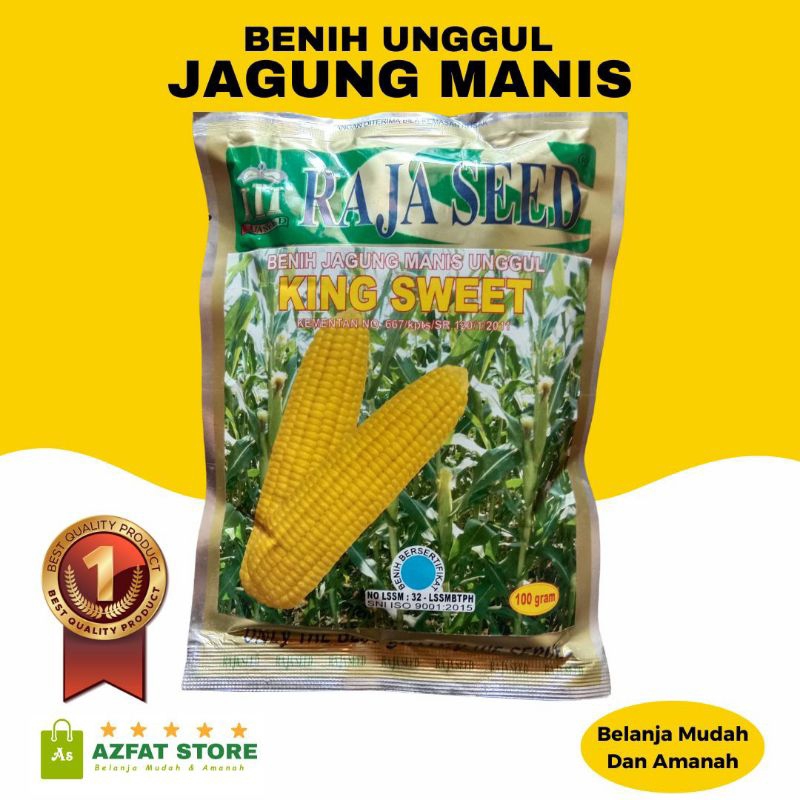 

Benih Jagung Manis