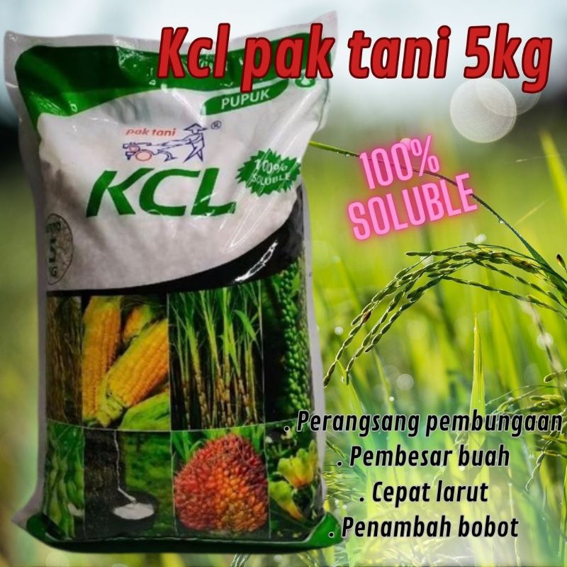 Pupuk KCL Pak Tani kemasan 5kg