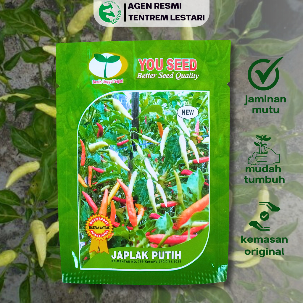Benih Cabe Rawit Tegak JAPLAK PUTIH 10 gram Asli Cap You Seed Lebat & Bandel