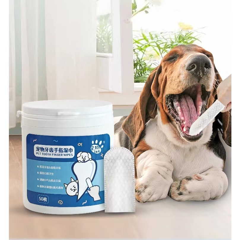 Tisu Hewan Pembersih Karang Gigi Anjing kucing