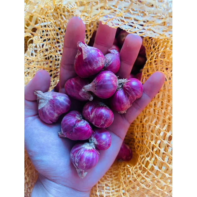 

Bawang Merah Probolinggo Super 1/2 kg