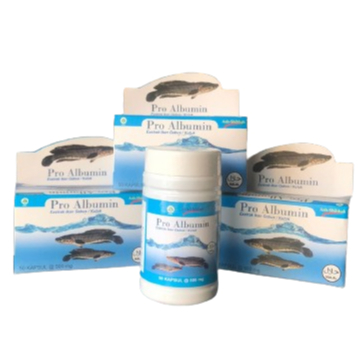 Pro albumin - extra ikan gabus - proalbumin original isi 50kapsul