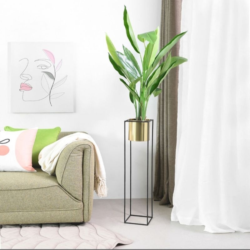 Standing Pot Informa