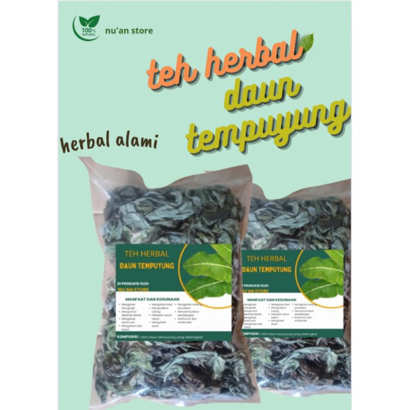 

TEH HERBAL DAUN TEMPUYUNG PER 50 gram