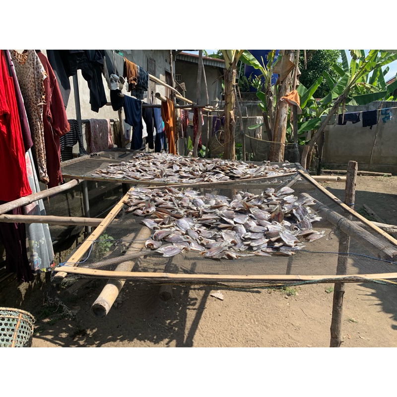 

ikan asin air tawar khas pulau sumatera