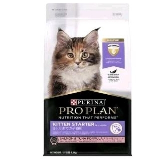 dry food proplan kitten