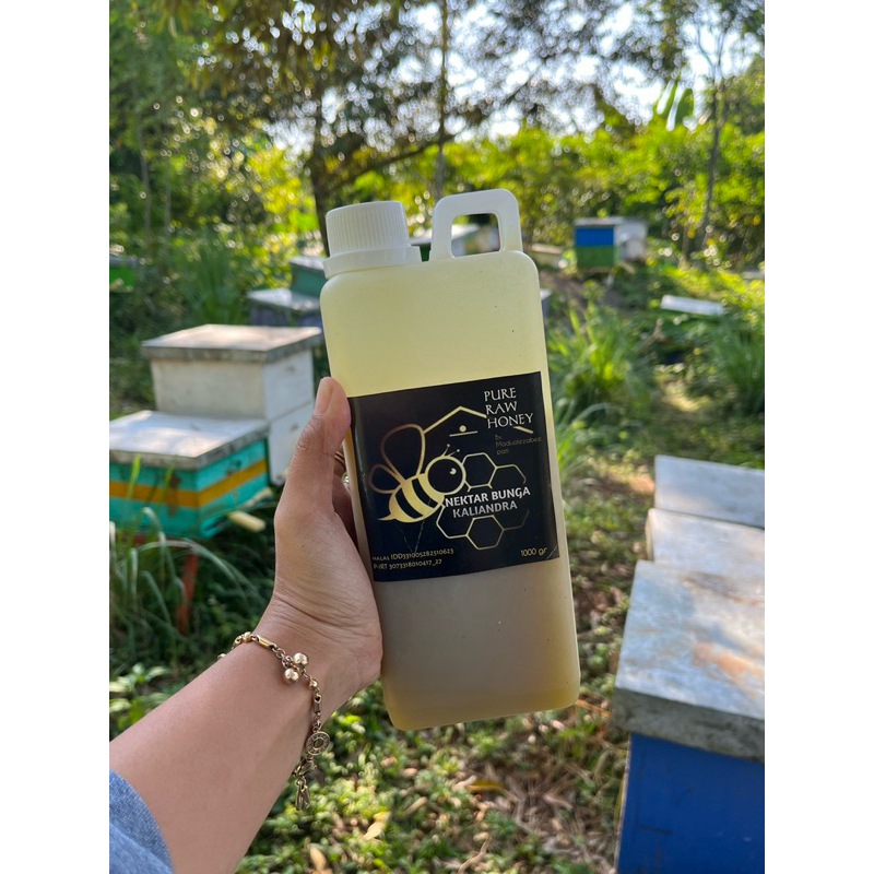 

Madu kaliandra murni 100%