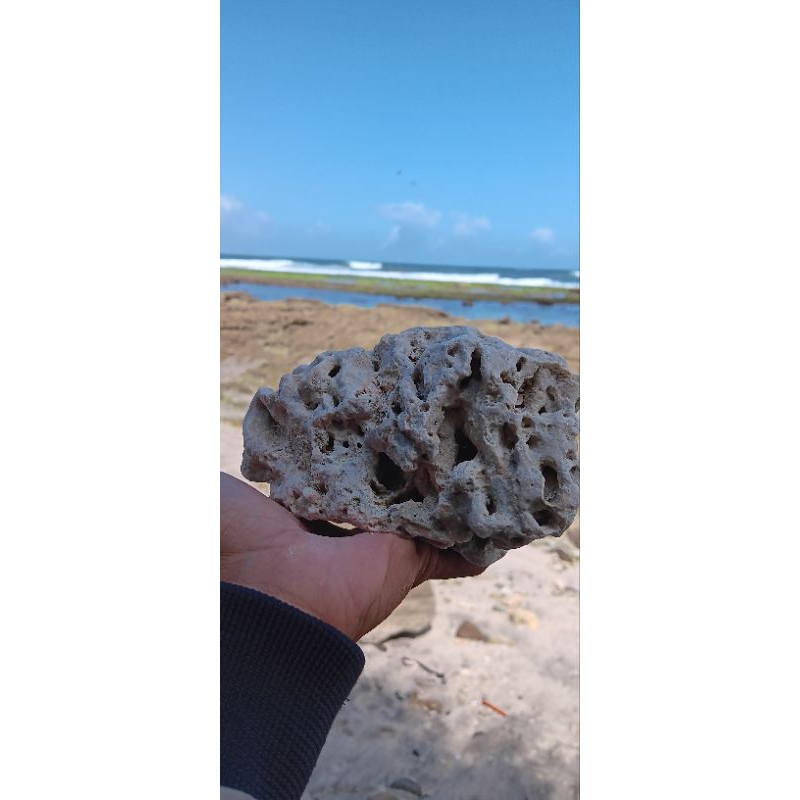 batu laut / karang laut bahan isian aquarium 3 pcs variasi beda beda