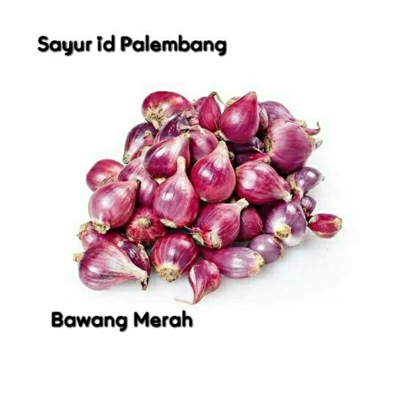 

[ DIKIRIM INSTAN ] Bawang Merah - Sayur id Palembang