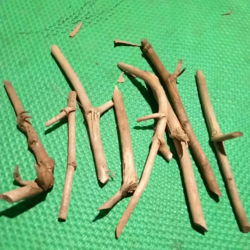 Ay00 Kayu Tlogosari Bahan Viva Once