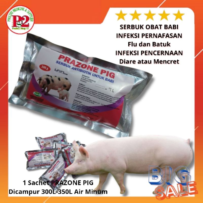 PRAZONE PIG Obat Babi Tidak Mau Makan / Obat Babi Mencret / Obat Babi Lemas / Obat Babi  Flu dan Bat
