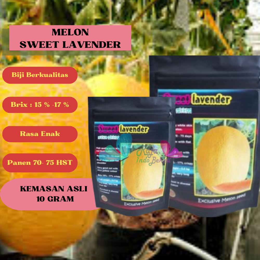 ORI BENIH F1 Melon SWEET LAVENDER Kemasan Asli 10 Gram Melon Ekslusif Bibit Melon Sweet Net Melon Da