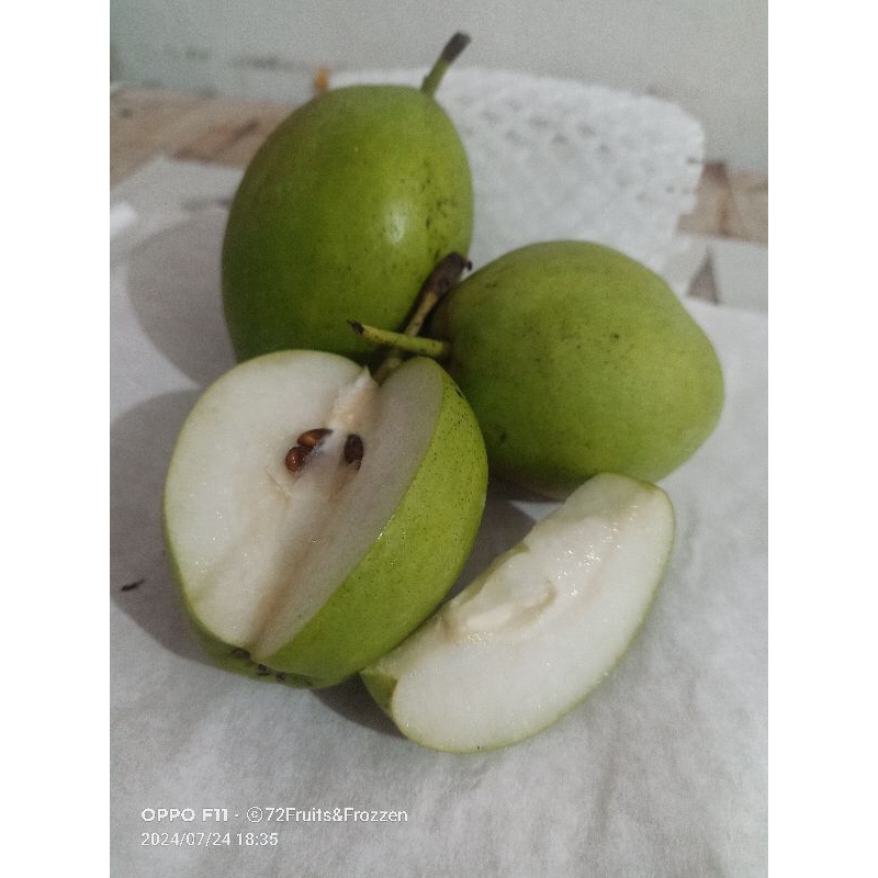 

PEAR XIANGLI MANIS CRUNCHY