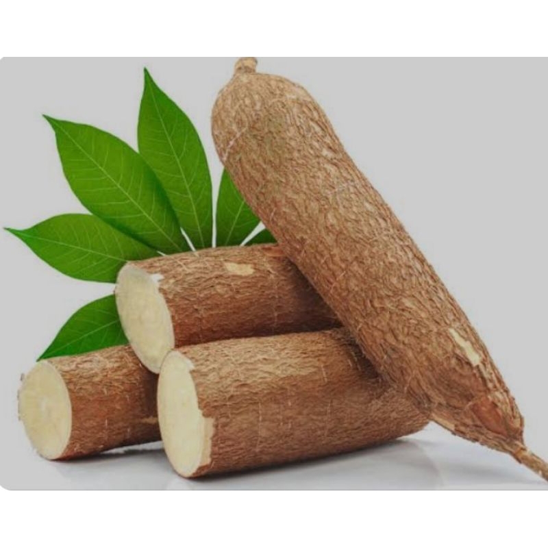 

Singkong empuk dan Pulen 500g