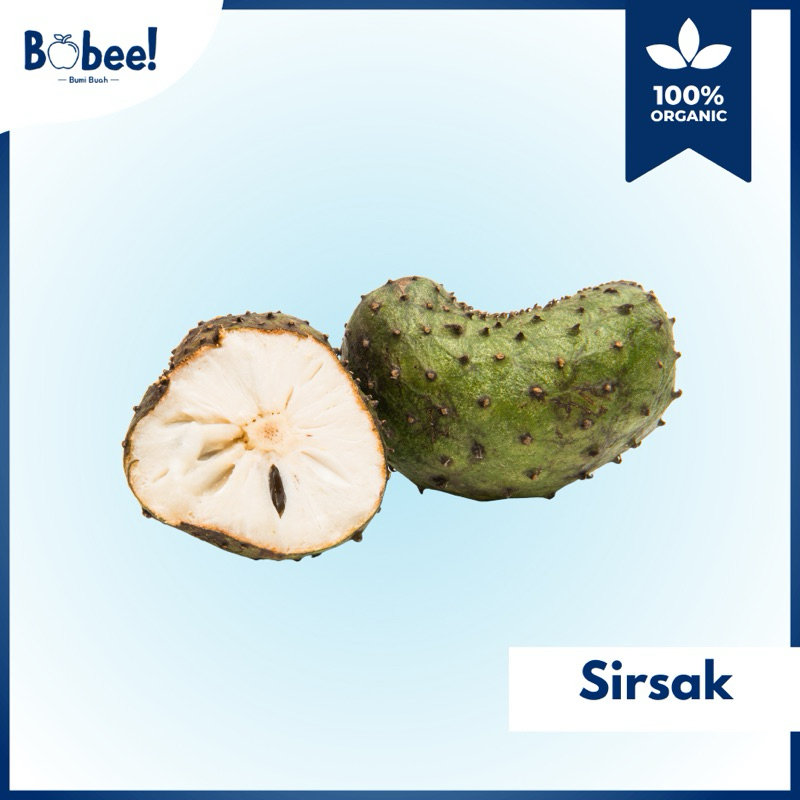 

Sirsak Super 1kg Fresh & Premium | Bobee.official - (Instant/Sameday)