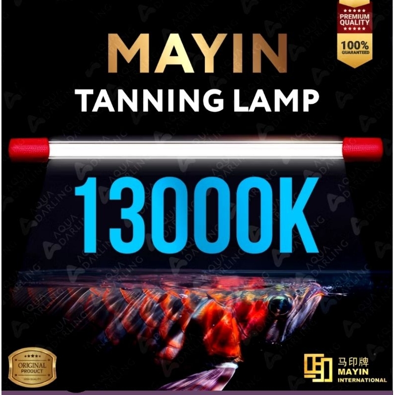 Lampu Mayin Tanning 13000k original