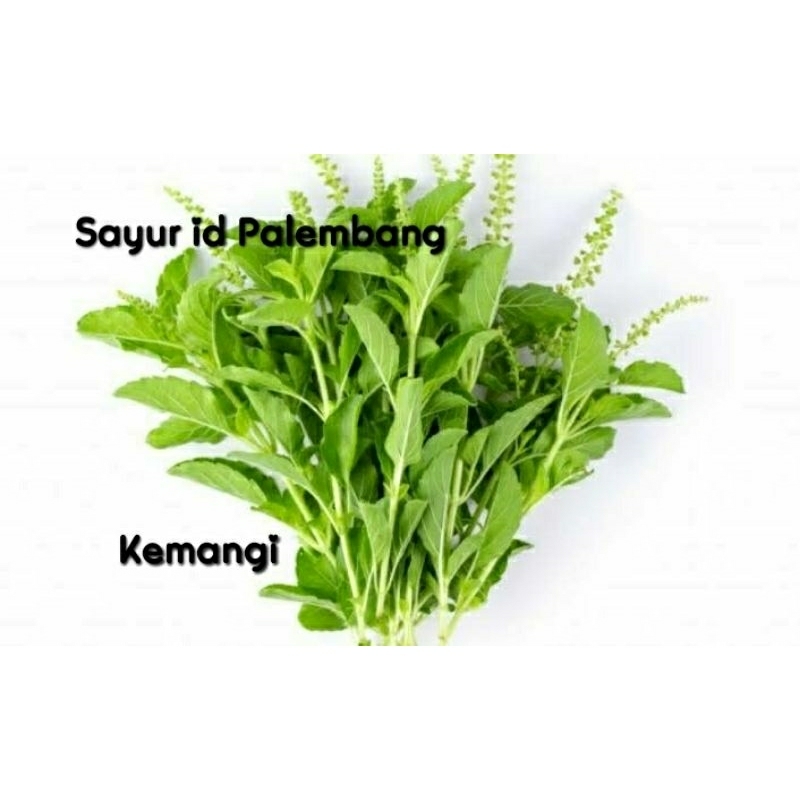 

[ DIKIRIM INSTAN ] Kemangi - Sayur id Palembang