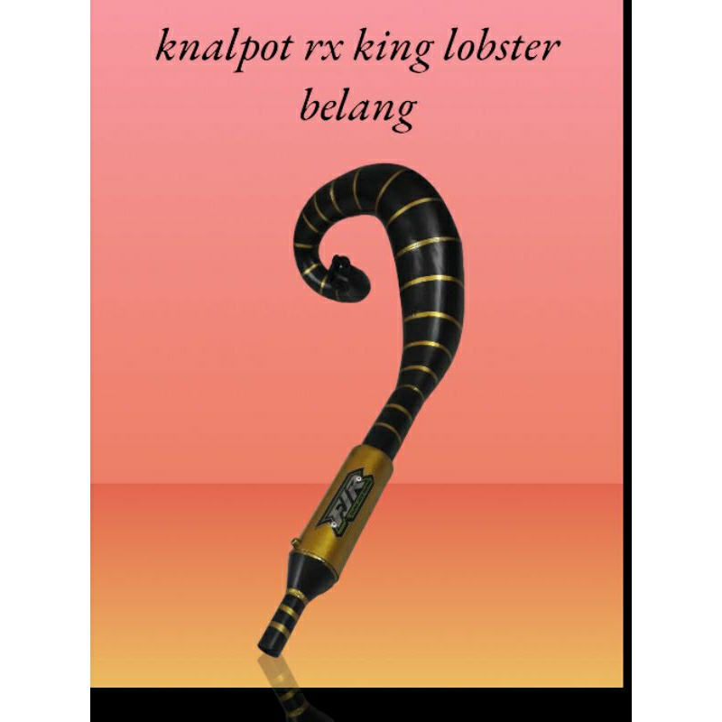 knalpot rx king rx special rx k lobster telo udang telo belang gold